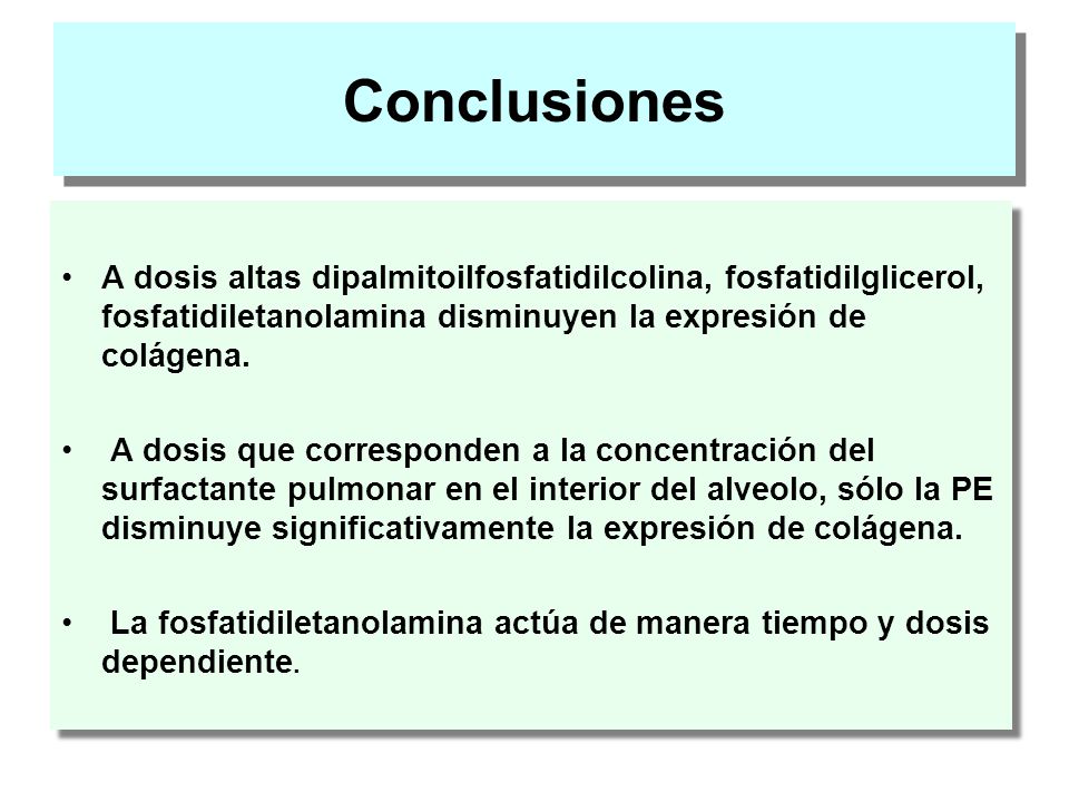 Conclusiones A dosis altas dipalmitoilfosfatidilcolina, fosfatidilglicerol, fosfatidiletanolamina disminuyen la expresión de colágena.