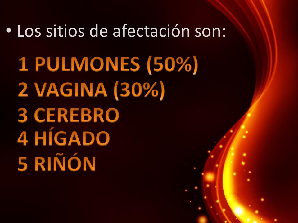 1 PULMONES (50%) 2 VAGINA (30%) 3 CEREBRO 4 HÍGADO 5 RIÑÓN