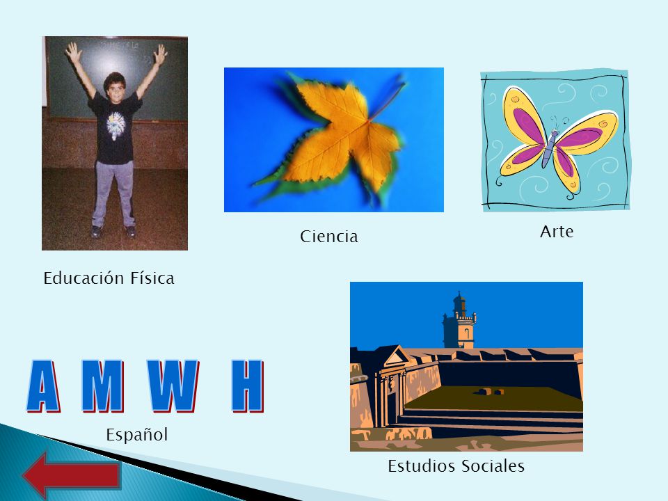 Arte Ciencia Educación Física A M W H Español Estudios Sociales