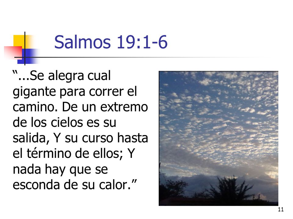 Salmos 19:1-6