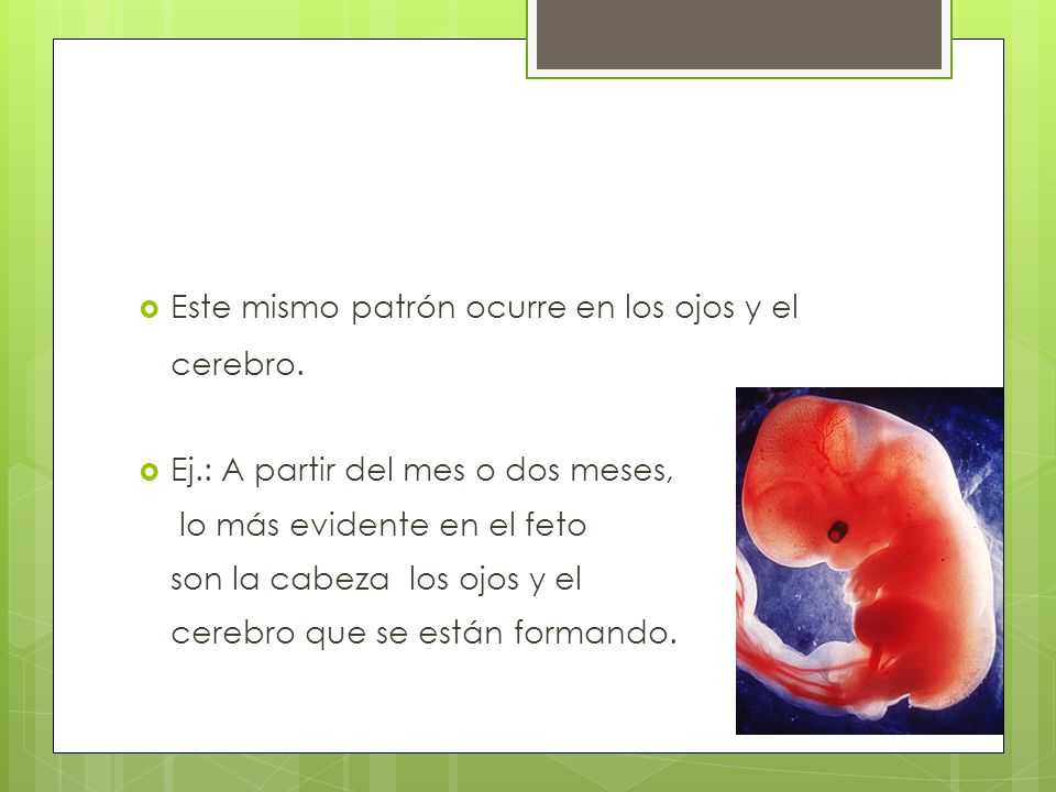 Este mismo patrón ocurre en los ojos y el cerebro.