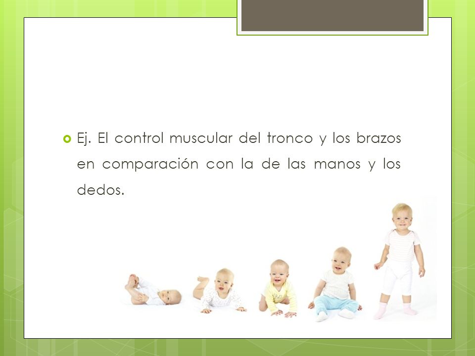 Ej. El control muscular del tronco y los brazos en comparación con la de las manos y los dedos.