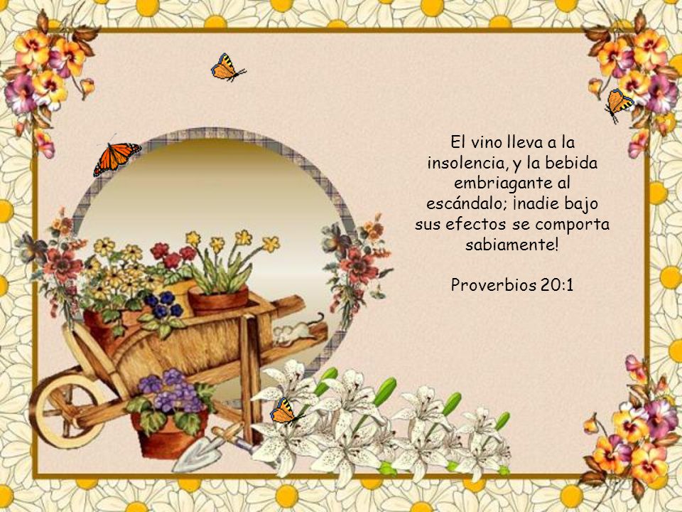 El vino lleva a la insolencia, y la bebida embriagante al escándalo; ¡nadie bajo sus efectos se comporta sabiamente!