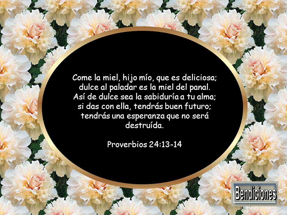 Come la miel, hijo mío, que es deliciosa; dulce al paladar es la miel del panal. Así de dulce sea la sabiduría a tu alma; si das con ella, tendrás buen futuro; tendrás una esperanza que no será destruída.