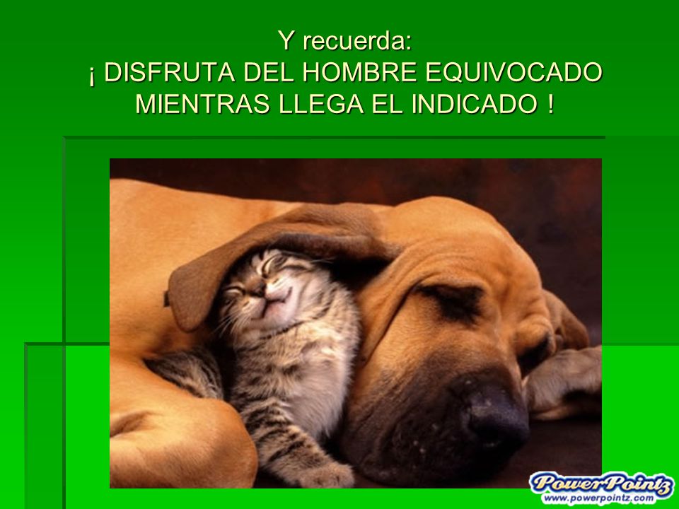 Y recuerda: ¡ DISFRUTA DEL HOMBRE EQUIVOCADO MIENTRAS LLEGA EL INDICADO !