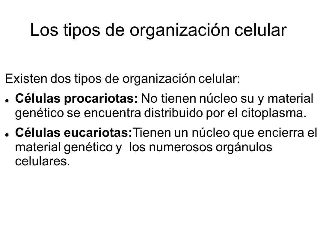 Los tipos de organización celular