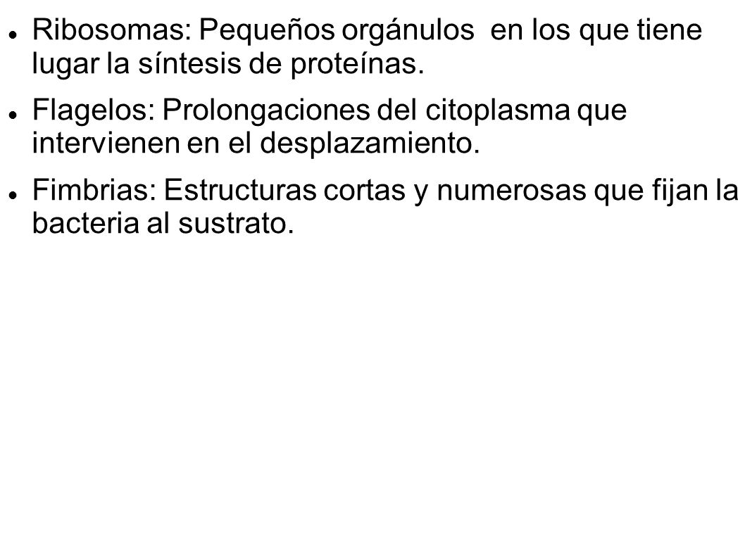Ribosomas: Pequeños orgánulos en los que tiene lugar la síntesis de proteínas.