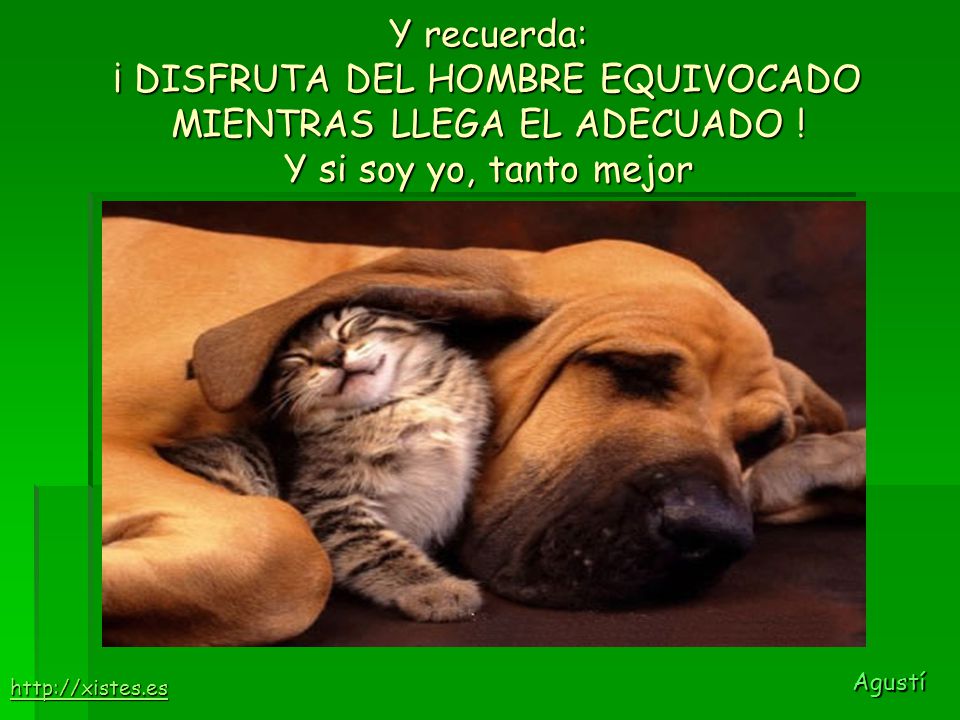 Y recuerda: ¡ DISFRUTA DEL HOMBRE EQUIVOCADO MIENTRAS LLEGA EL ADECUADO ! Y si soy yo, tanto mejor