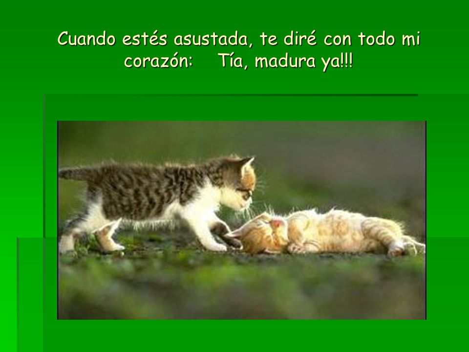 Cuando estés asustada, te diré con todo mi corazón: Tía, madura ya!!!