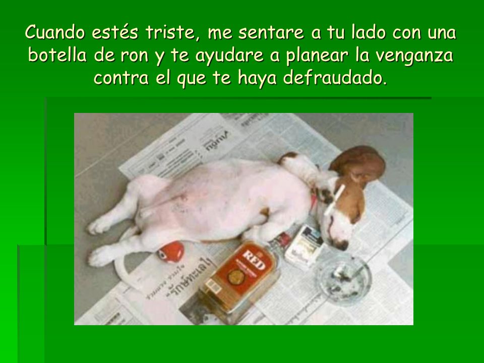 Cuando estés triste, me sentare a tu lado con una botella de ron y te ayudare a planear la venganza contra el que te haya defraudado.