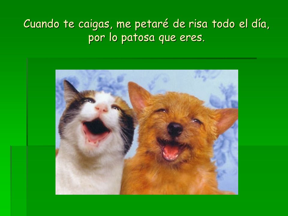 Cuando te caigas, me petaré de risa todo el día, por lo patosa que eres.