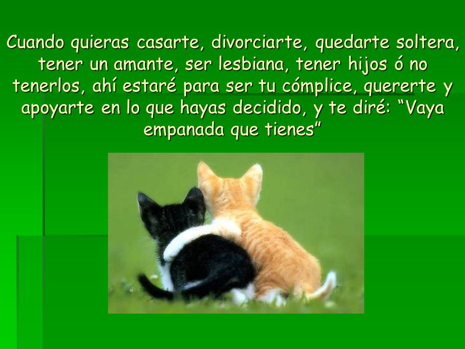 Cuando quieras casarte, divorciarte, quedarte soltera, tener un amante, ser lesbiana, tener hijos ó no tenerlos, ahí estaré para ser tu cómplice, quererte y apoyarte en lo que hayas decidido, y te diré: Vaya empanada que tienes