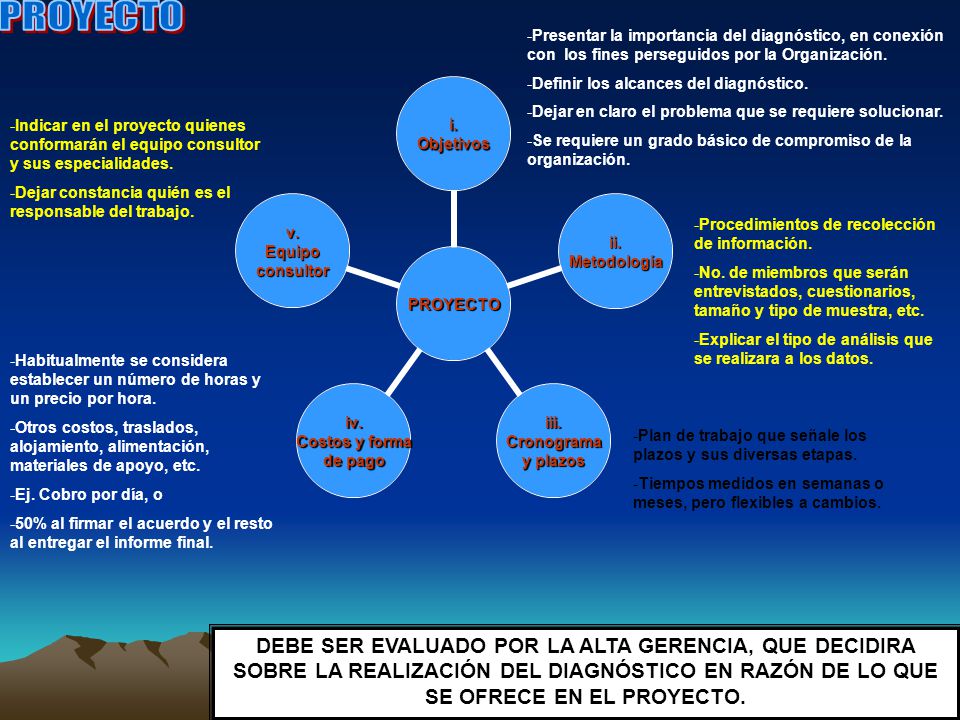 PROYECTO Presentar la importancia del diagnóstico, en conexión con los fines perseguidos por la Organización.
