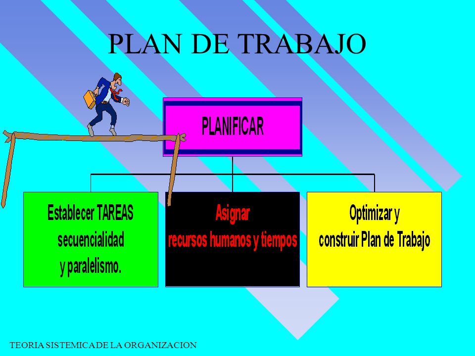 PLAN DE TRABAJO