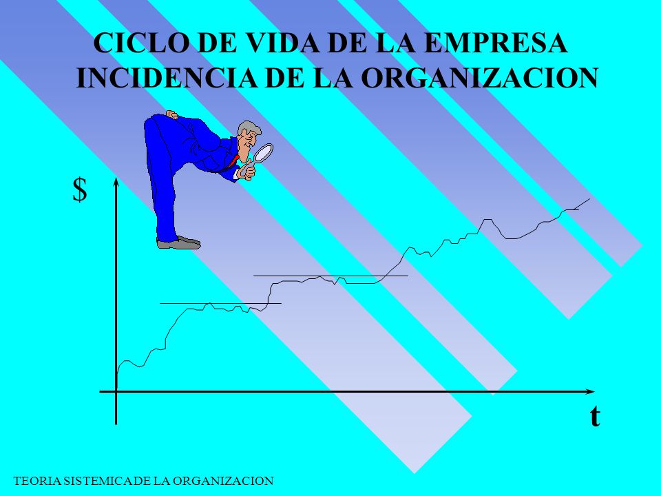 CICLO DE VIDA DE LA EMPRESA INCIDENCIA DE LA ORGANIZACION