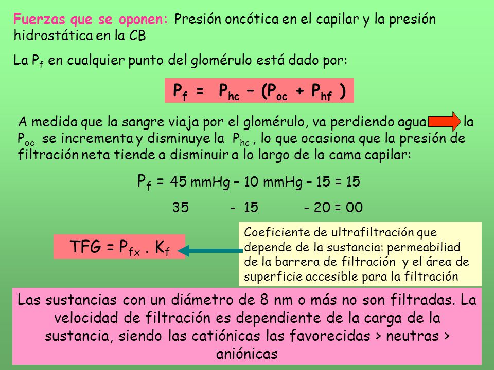Pf = Phc – (Poc + Phf ) Pf = 45 mmHg – 10 mmHg – 15 = 15