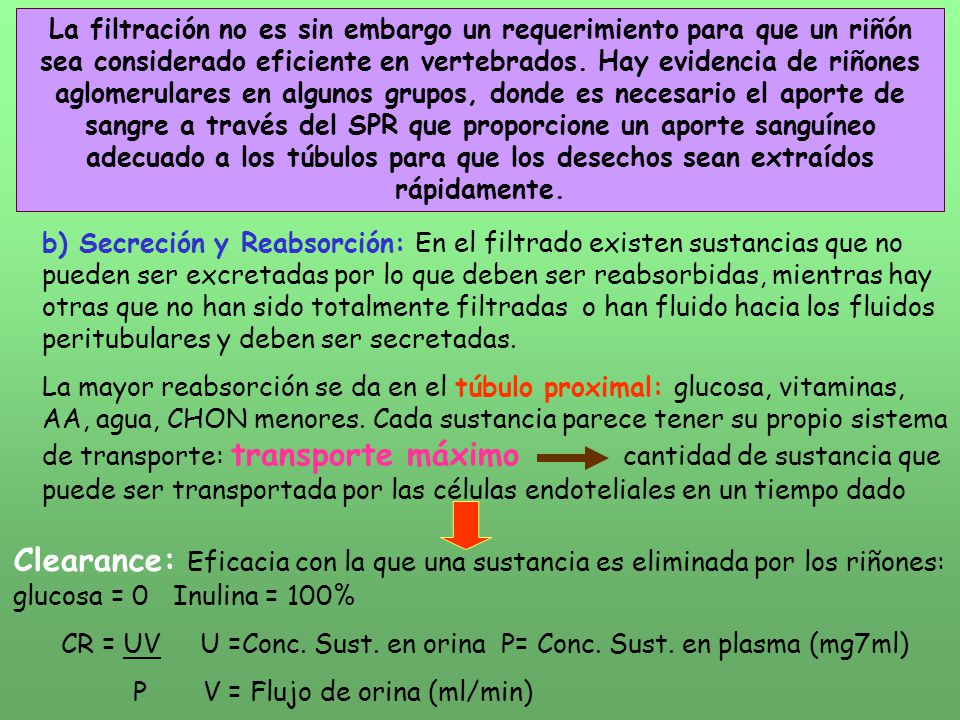 La filtración no es sin embargo un requerimiento para que un riñón sea considerado eficiente en vertebrados. Hay evidencia de riñones aglomerulares en algunos grupos, donde es necesario el aporte de sangre a través del SPR que proporcione un aporte sanguíneo adecuado a los túbulos para que los desechos sean extraídos rápidamente.