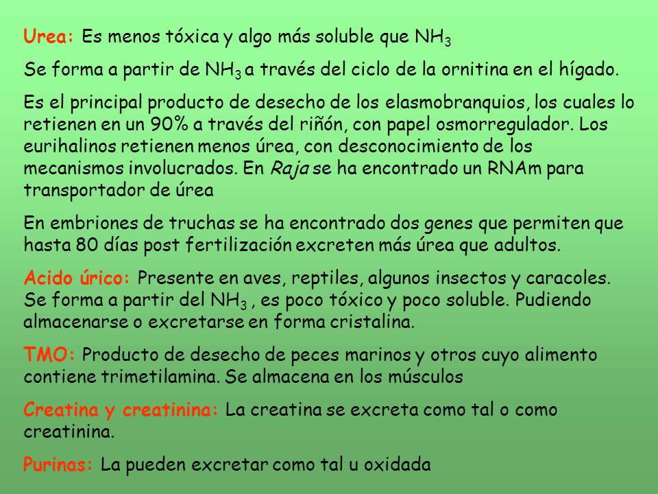 Urea: Es menos tóxica y algo más soluble que NH3