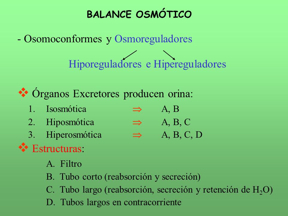 - Osomoconformes y Osmoreguladores Hiporeguladores e Hipereguladores