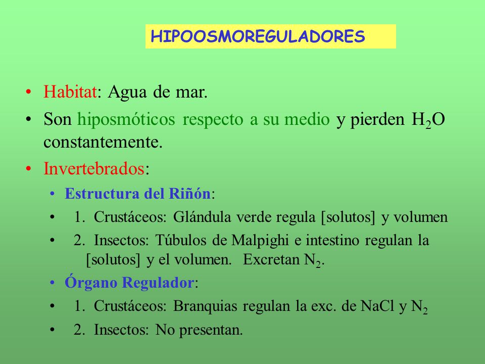 Son hiposmóticos respecto a su medio y pierden H2O constantemente.
