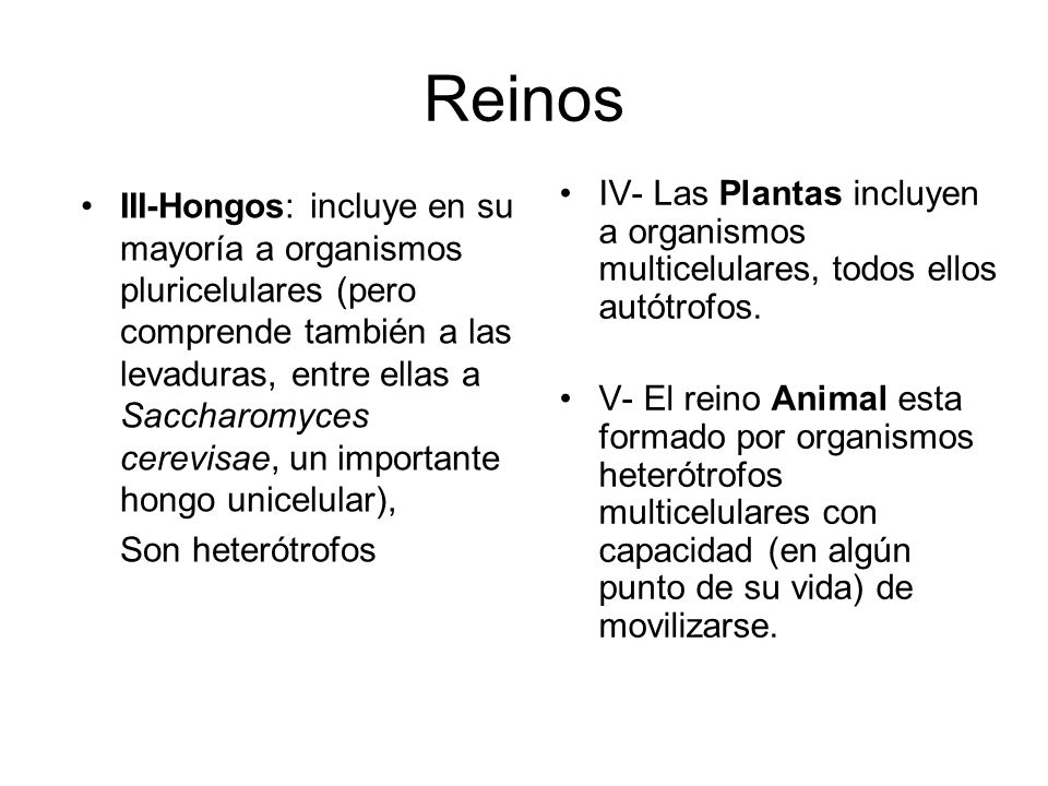 Reinos IV- Las Plantas incluyen a organismos multicelulares, todos ellos autótrofos.