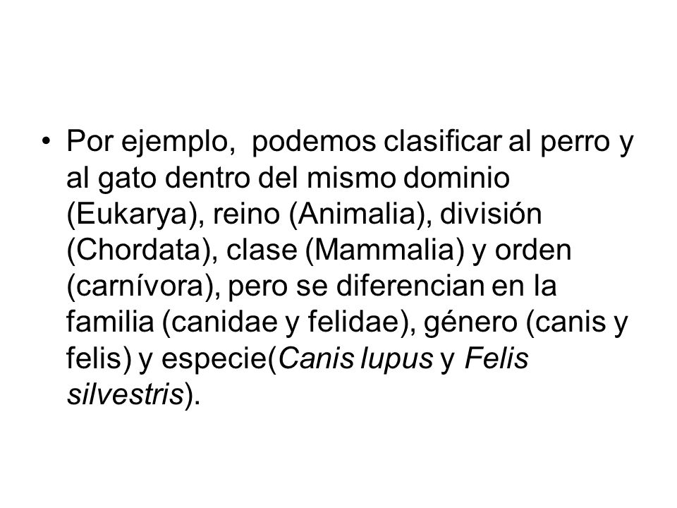 Por ejemplo, podemos clasificar al perro y al gato dentro del mismo dominio (Eukarya), reino (Animalia), división (Chordata), clase (Mammalia) y orden (carnívora), pero se diferencian en la familia (canidae y felidae), género (canis y felis) y especie(Canis lupus y Felis silvestris).