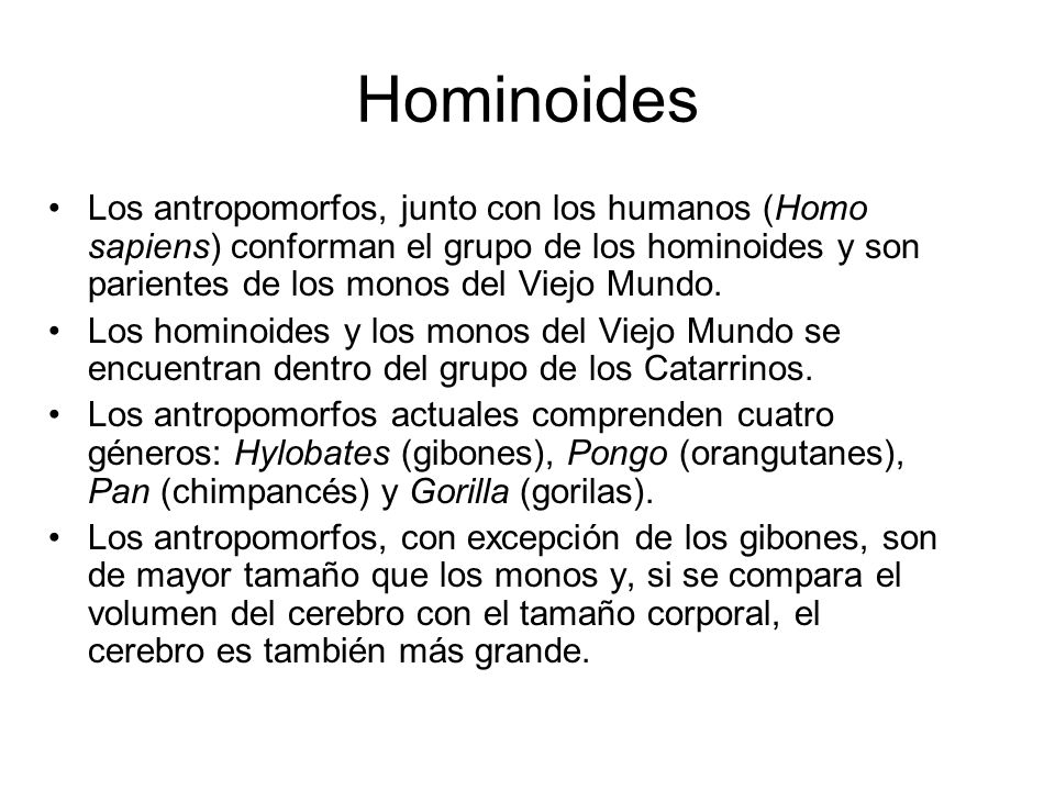 Hominoides Los antropomorfos, junto con los humanos (Homo sapiens) conforman el grupo de los hominoides y son parientes de los monos del Viejo Mundo.