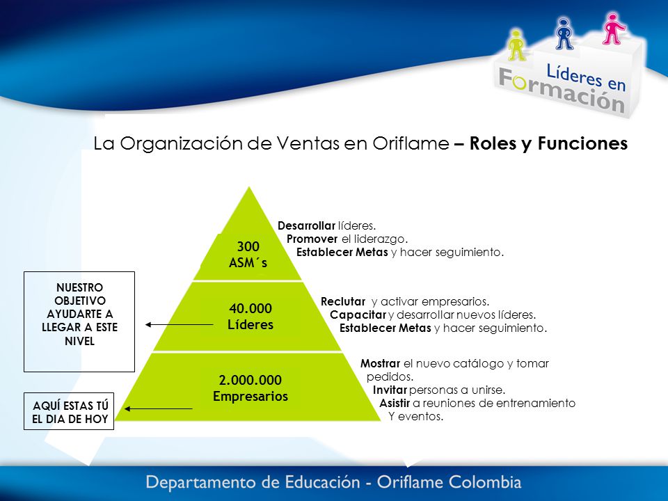 La Organización de Ventas en Oriflame – Roles y Funciones