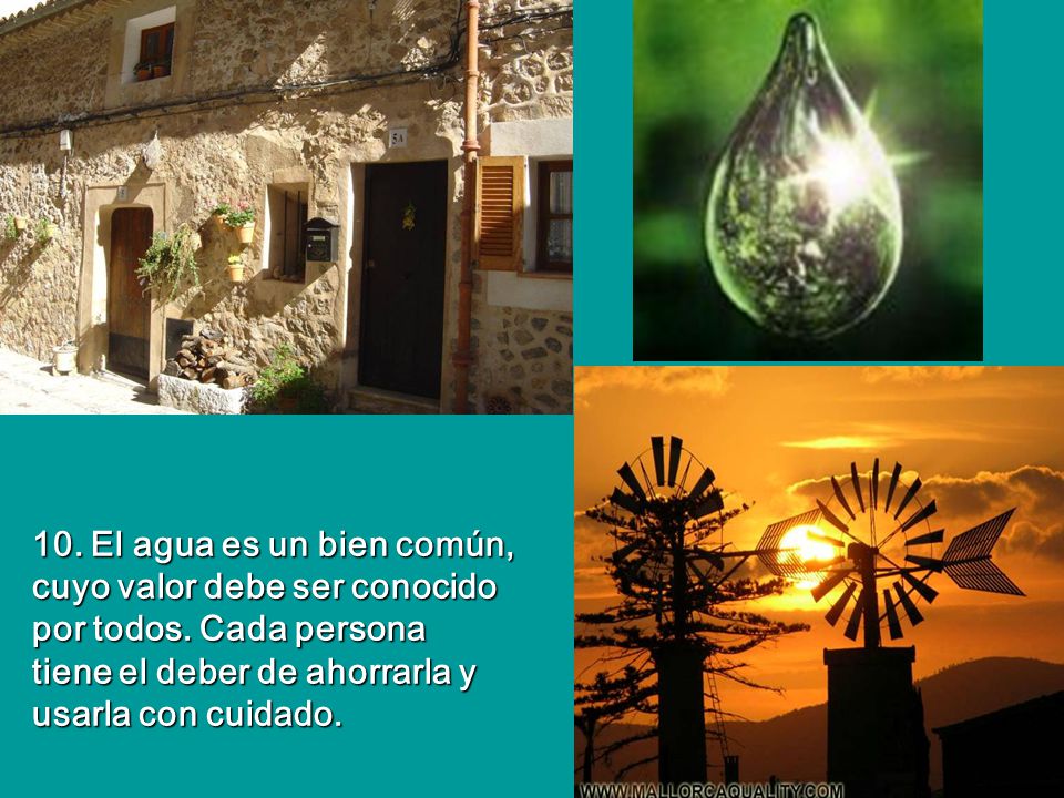 10. El agua es un bien común, cuyo valor debe ser conocido por todos