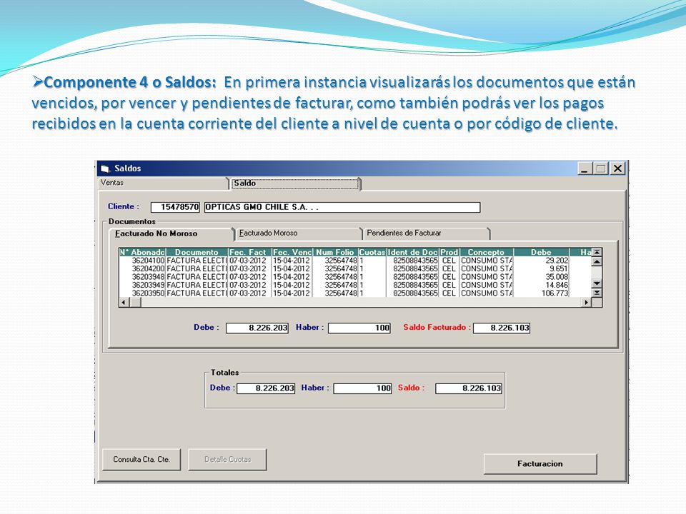 Componente 4 o Saldos: En primera instancia visualizarás los documentos que están vencidos, por vencer y pendientes de facturar, como también podrás ver los pagos recibidos en la cuenta corriente del cliente a nivel de cuenta o por código de cliente.