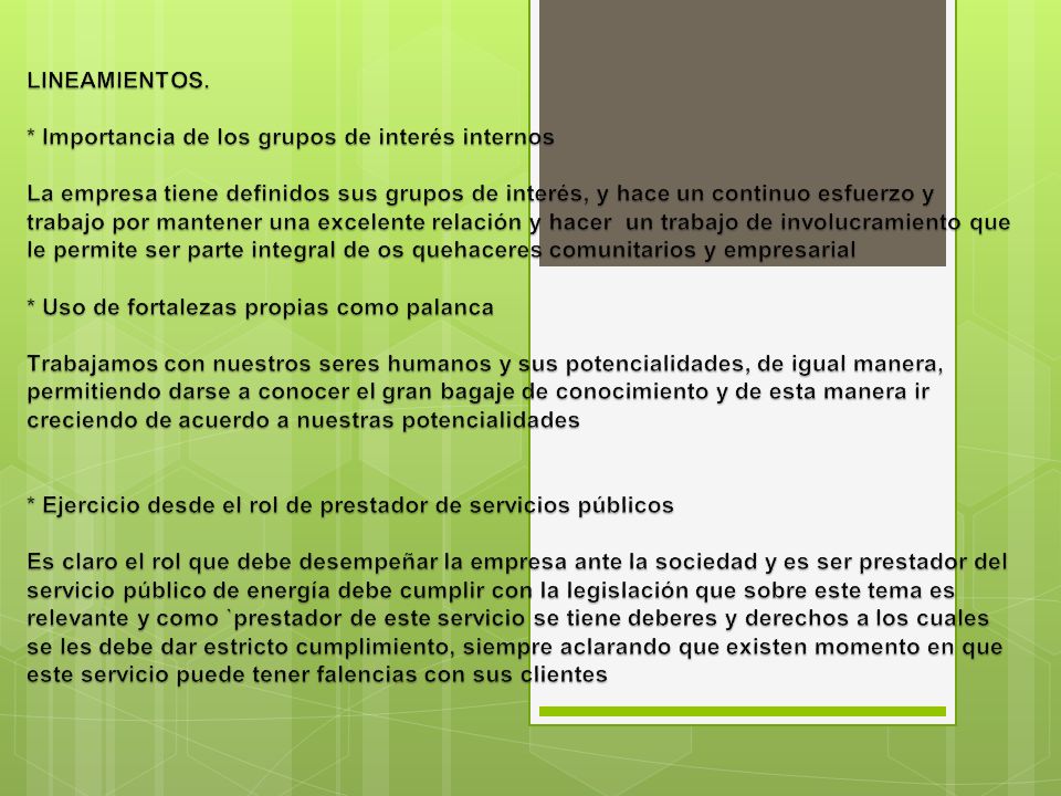 LINEAMIENTOS. * Importancia de los grupos de interés internos