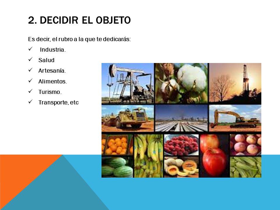 2. Decidir el objeto Es decir, el rubro a la que te dedicarás: