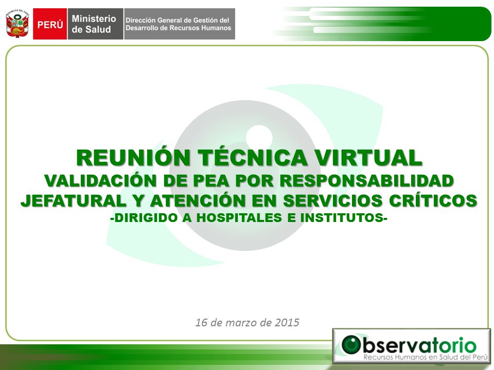 REUNIÓN TÉCNICA VIRTUAL VALIDACIÓN DE PEA POR RESPONSABILIDAD JEFATURAL Y ATENCIÓN EN SERVICIOS CRÍTICOS -DIRIGIDO A HOSPITALES E INSTITUTOS-