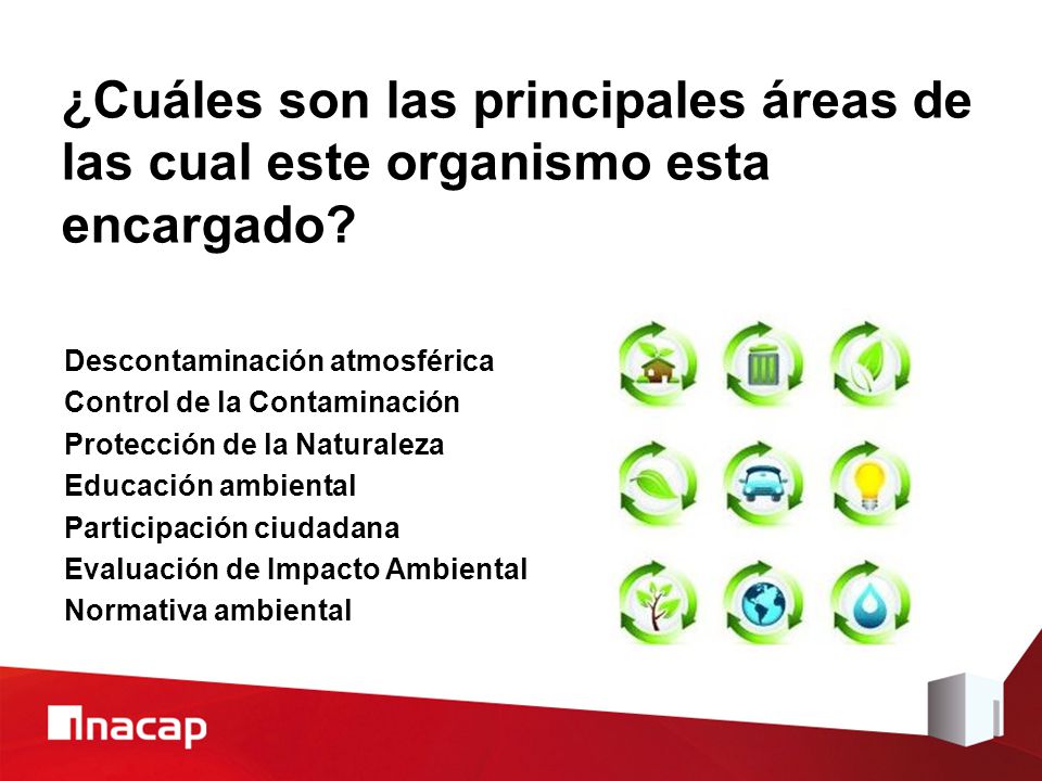 ¿Cuáles son las principales áreas de las cual este organismo esta encargado