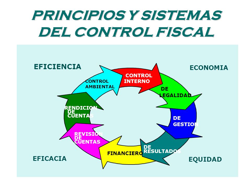PRINCIPIOS Y SISTEMAS DEL CONTROL FISCAL