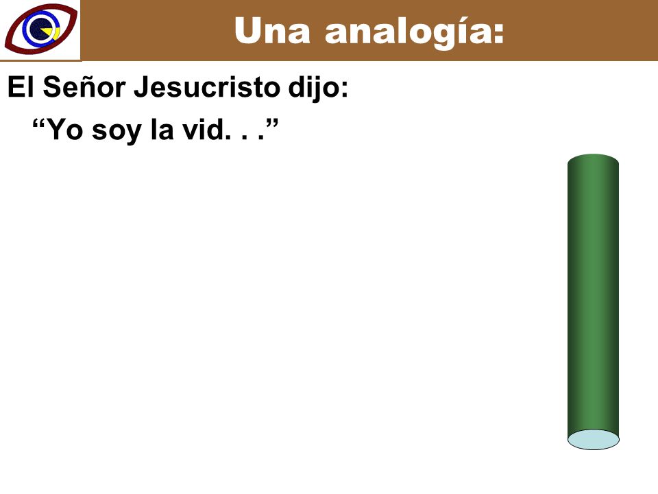 Una analogía: El Señor Jesucristo dijo: Yo soy la vid. . .
