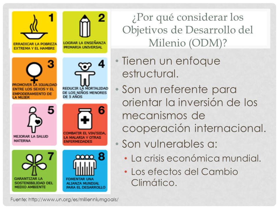 ¿Por qué considerar los Objetivos de Desarrollo del Milenio (ODM)