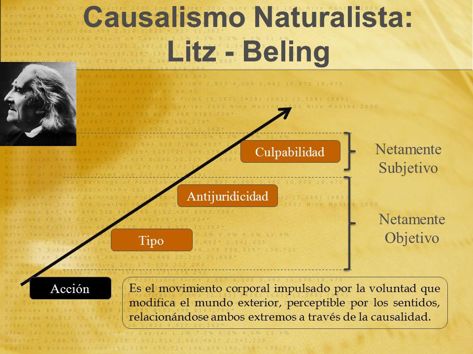 Causalismo Naturalista: Litz - Beling
