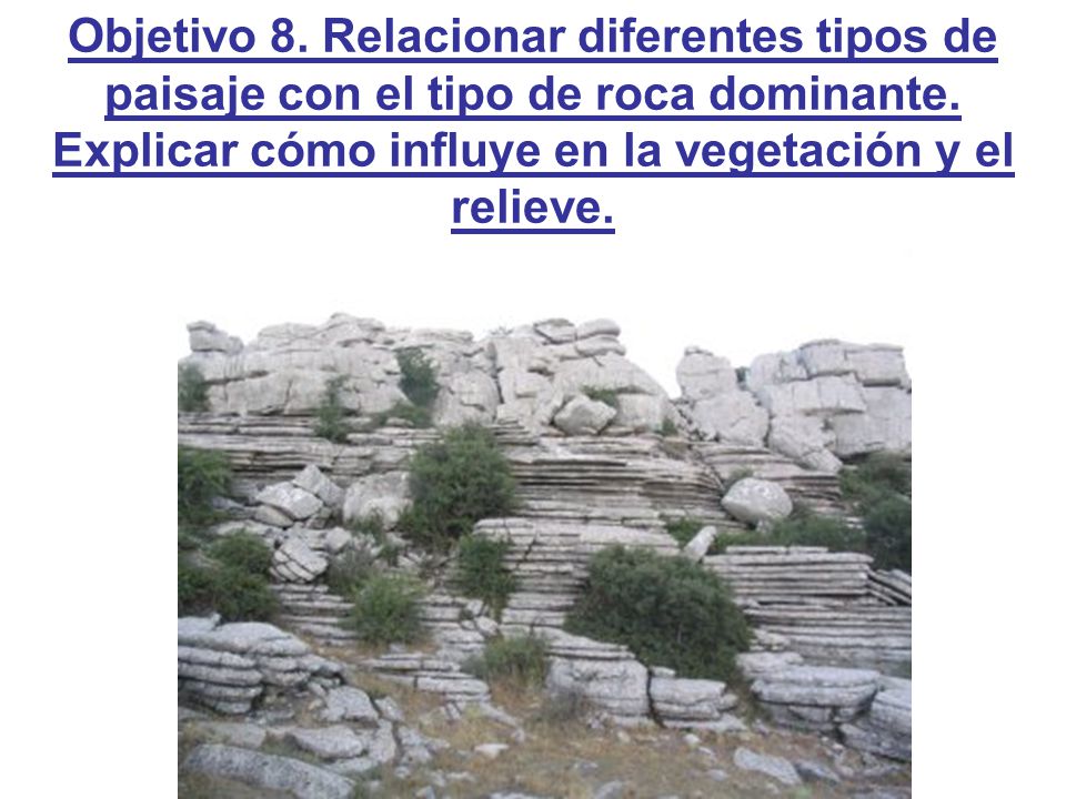 Objetivo 8. Relacionar diferentes tipos de paisaje con el tipo de roca dominante.