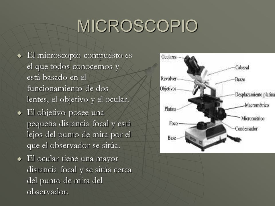 MICROSCOPIO El microscopio compuesto es el que todos conocemos y está basado en el funcionamiento de dos lentes, el objetivo y el ocular.