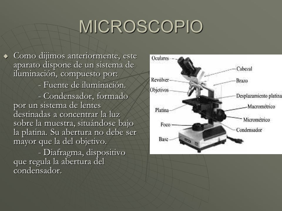 MICROSCOPIO Como dijimos anteriormente, este aparato dispone de un sistema de iluminación, compuesto por: