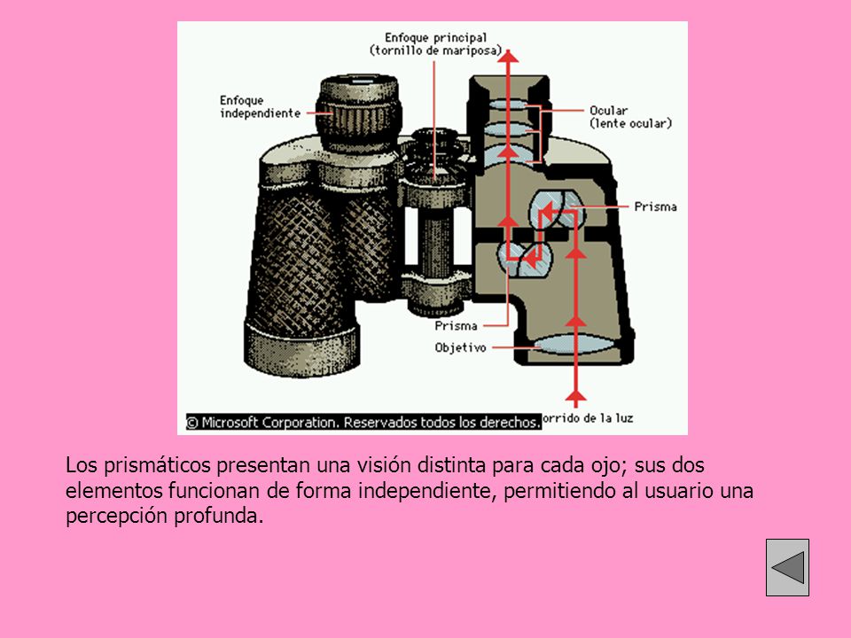 Los prismáticos presentan una visión distinta para cada ojo; sus dos elementos funcionan de forma independiente, permitiendo al usuario una percepción profunda.