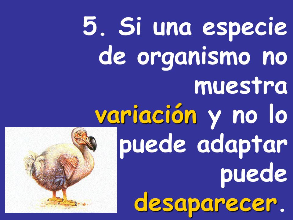 5. Si una especie de organismo no muestra variación y no lo puede adaptar puede desaparecer.