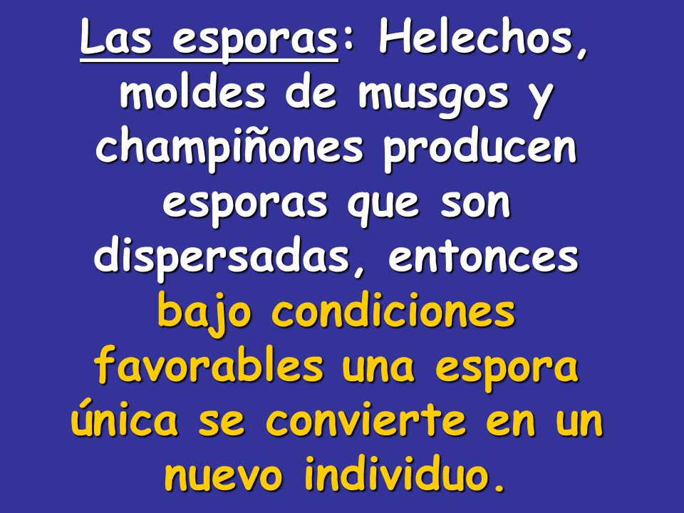 Las esporas: Helechos, moldes de musgos y champiñones producen esporas que son dispersadas, entonces bajo condiciones favorables una espora única se convierte en un nuevo individuo.
