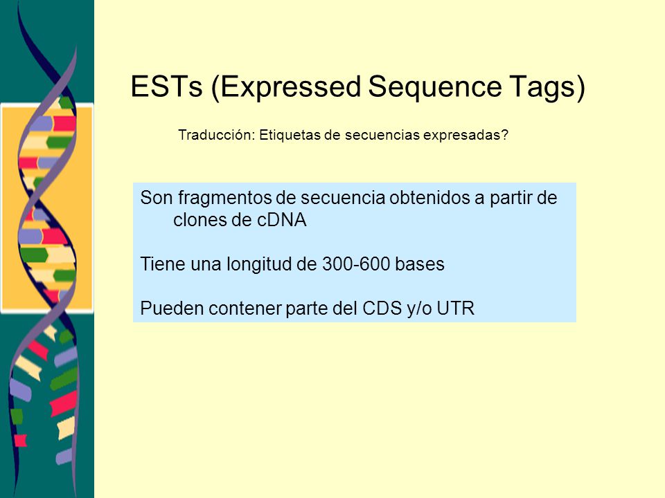 ESTs (Expressed Sequence Tags)
