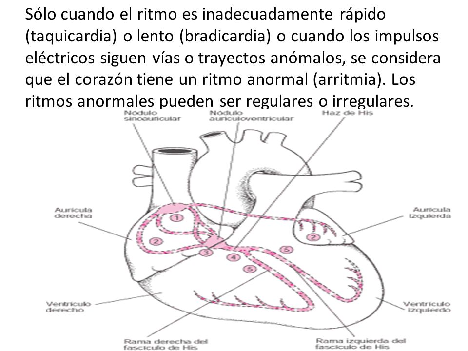 Sólo cuando el ritmo es inadecuadamente rápido (taquicardia) o lento (bradicardia) o cuando los impulsos eléctricos siguen vías o trayectos anómalos, se considera que el corazón tiene un ritmo anormal (arritmia).