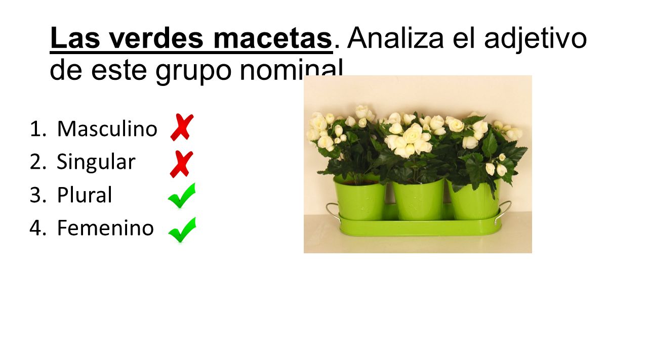 Las verdes macetas. Analiza el adjetivo de este grupo nominal.