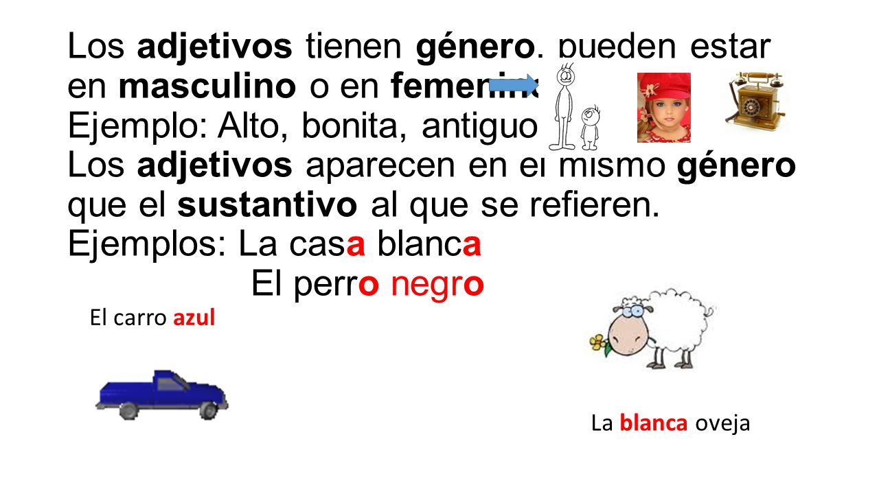 Los adjetivos tienen género, pueden estar en masculino o en femenino