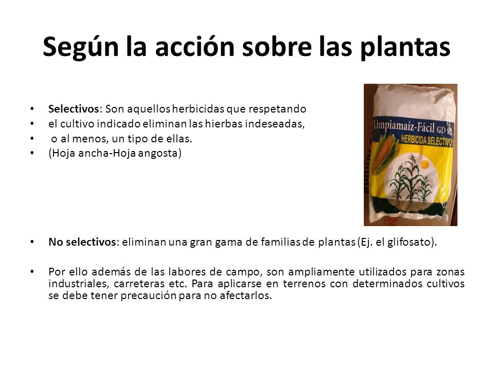 Según la acción sobre las plantas
