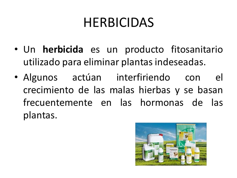 HERBICIDAS Un herbicida es un producto fitosanitario utilizado para eliminar plantas indeseadas.